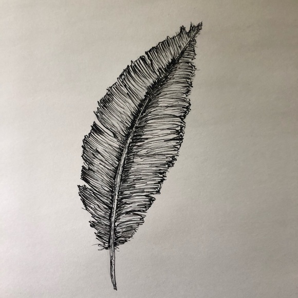 🎉🎉🎉Anappy38 is having a show! - Picture 5 of 13